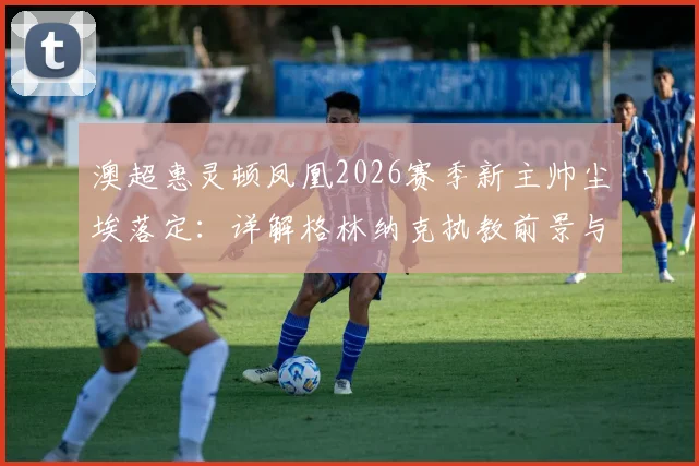 澳超惠灵顿凤凰2026赛季新主帅尘埃落定：详解格林纳克执教前景与一年续约选项