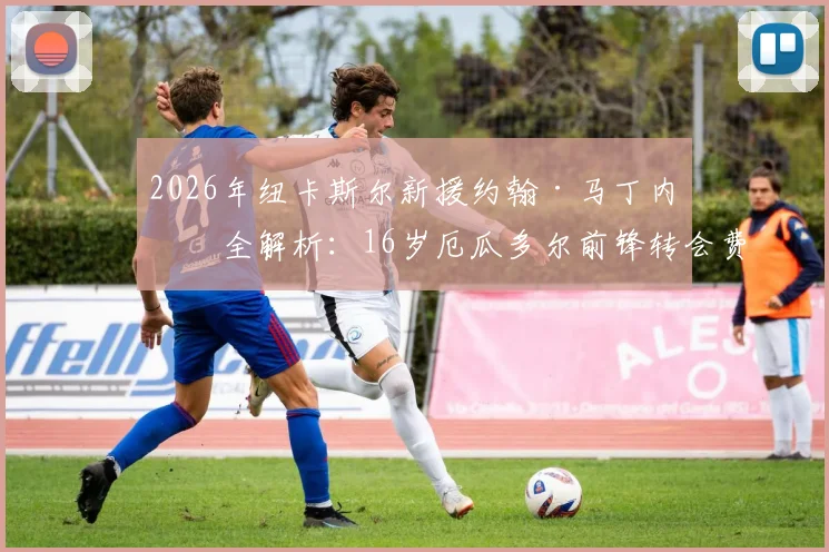 2026年纽卡斯尔新援约翰·马丁内斯全解析：16岁厄瓜多尔前锋转会费、场上位置、母队背景及FM游戏潜力探究